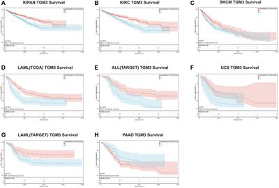 Clinical and immunological characteristics of TGM3 in pan-cancer: A potential prognostic biomarker